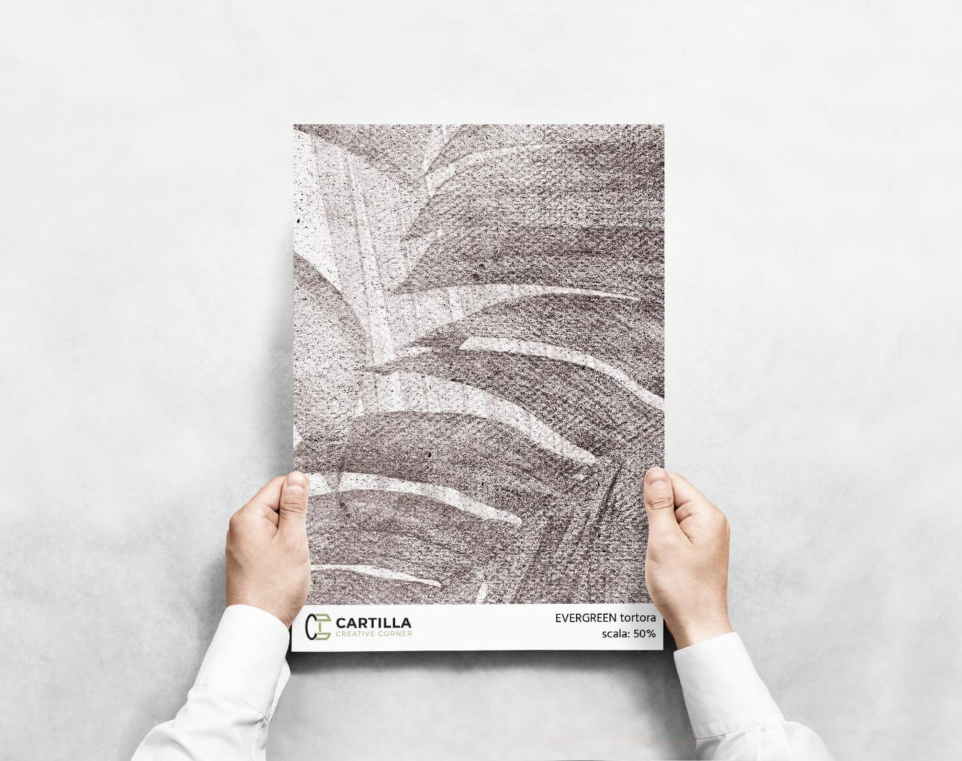 IMMERGRÜN TAUBENGRAU