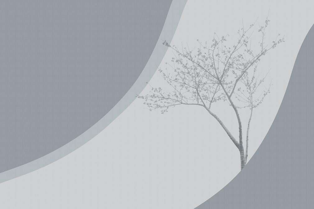 Armonia_kirsche_blau