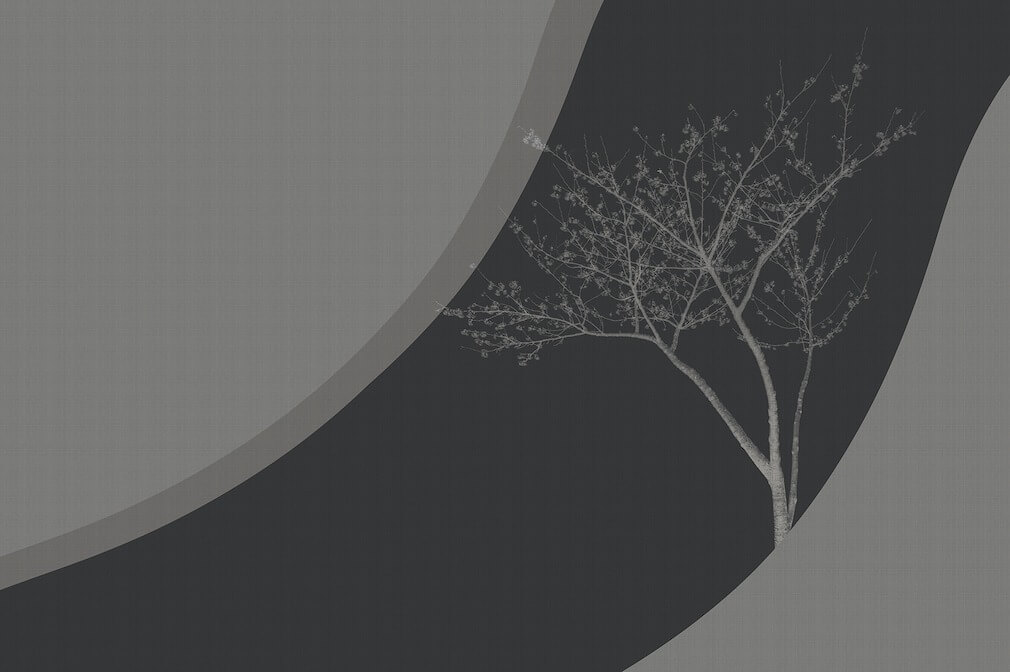 armonia_kirsche_dunkel