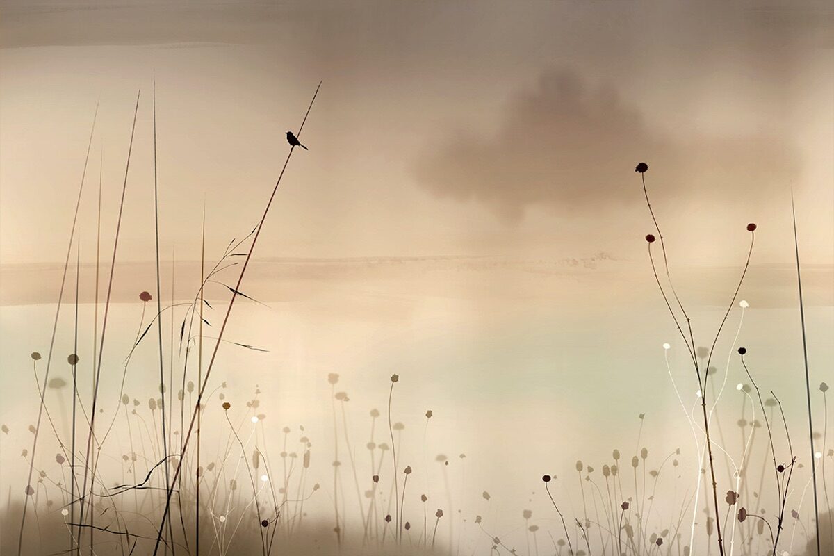 atmosphärische_tortora